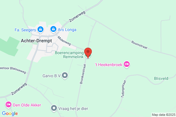 H. Remmelink