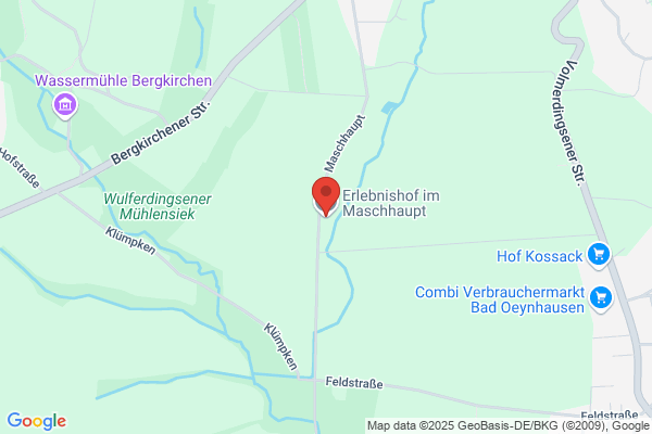 Maschhaupt Bv