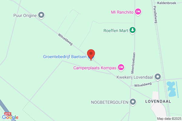 Baggen En F Van De Ven, M