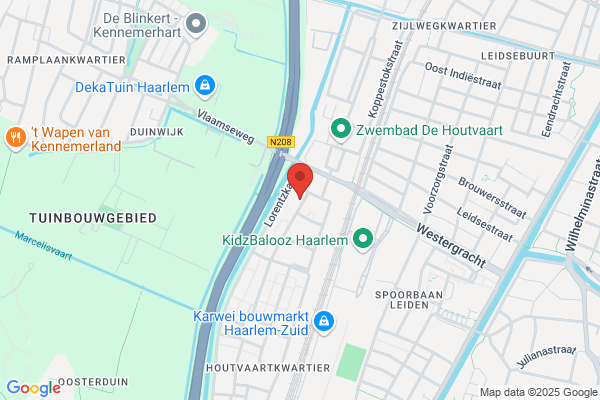 Interieurbeplanting Krul
