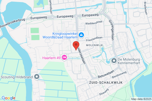 De Zilveren Naald