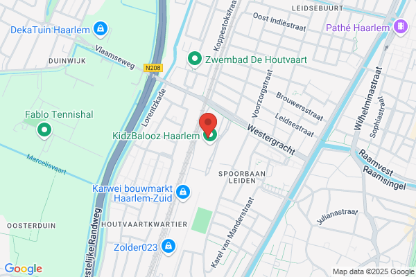 Action Haarlem