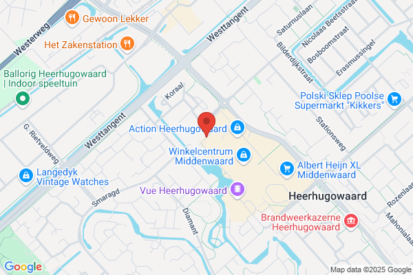 Acupunctuur H.R. Hoberg