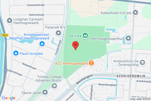 Mv-Trainingen