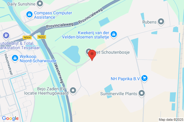Jarlin Zijdebloemen
