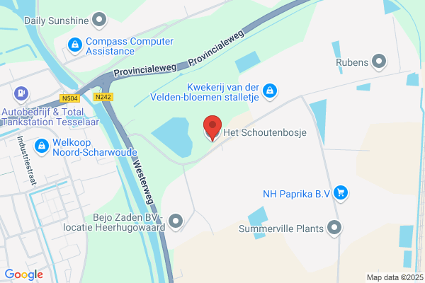 Schoutenbosje, Het