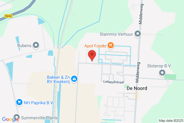 Vries Bv, De