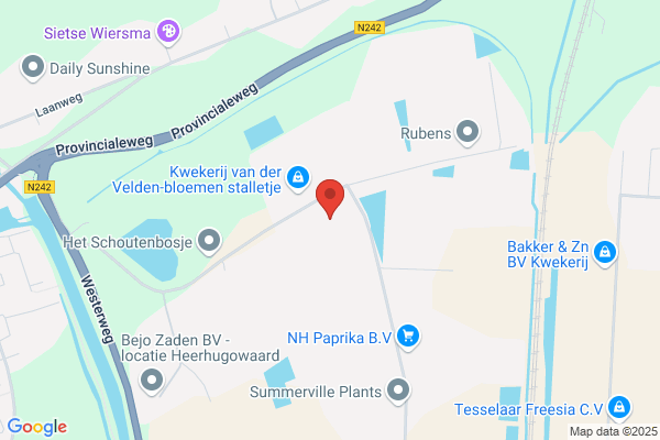 Bloemkwekersbedrijf Gebrs Sol Cv