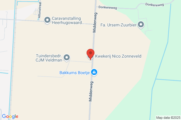 Kwekerij Geveland Cv