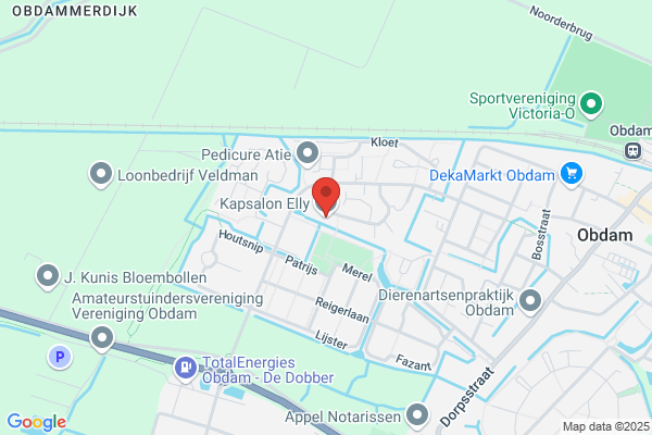 Kapsalon Elly Dames En Heren
