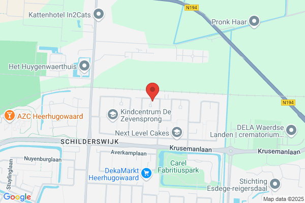 Knipsalon Rien