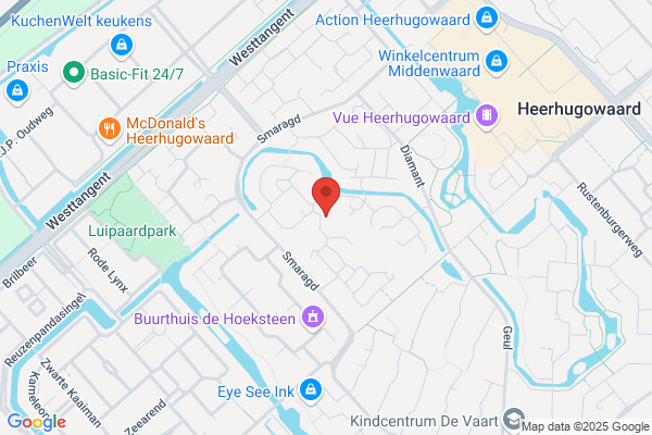 De Fonkelsteen