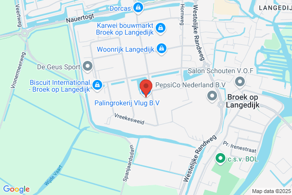 Vlug BV Palingrokerij
