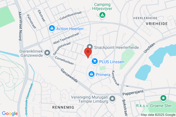Ganzeweide