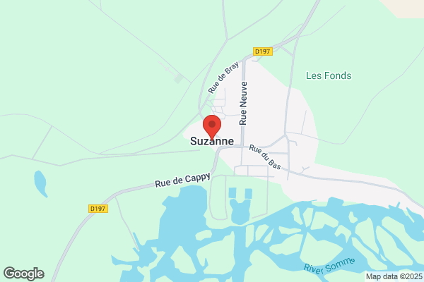 Suzanne