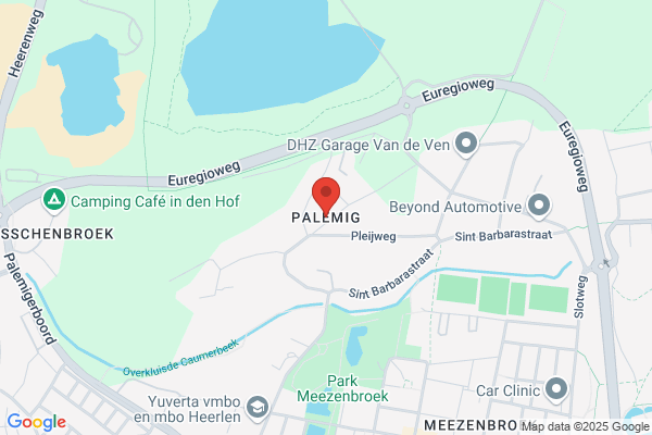 Palemiger