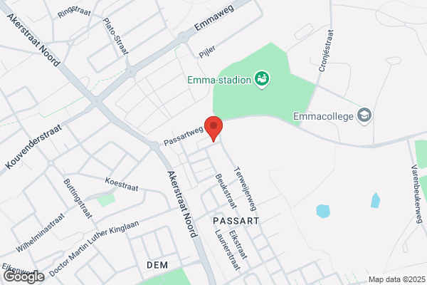 Wassing Bestratingen