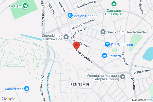 Droomkasteel Heelerheide
