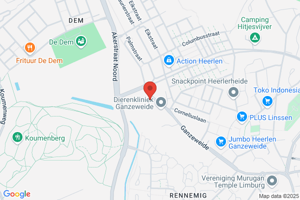 Putten Bv, Van