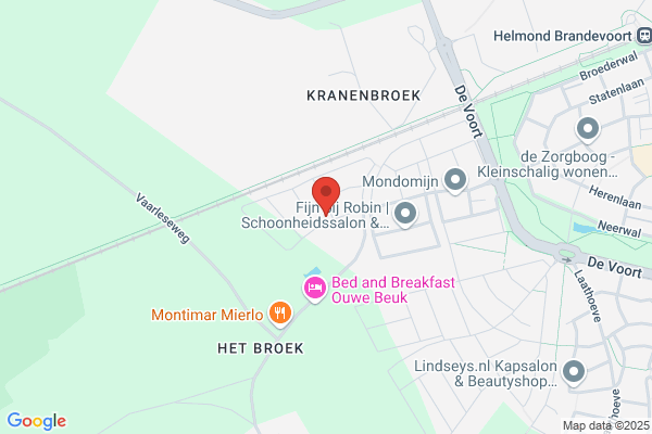 Jong, De