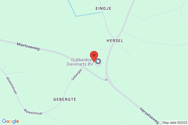Ariete Holland