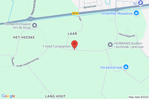 Hortensiakwekerij Van Der Velden Bv