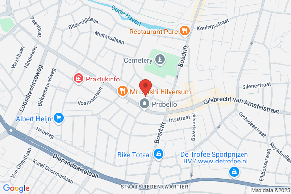 Alies Troost Acupunctuur