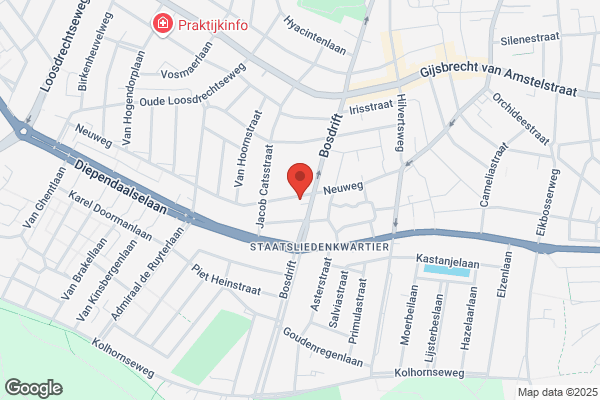 Fanfare Bv, De