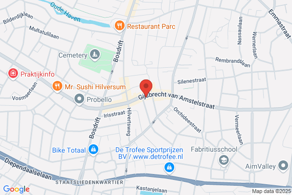 Aemstel, Van