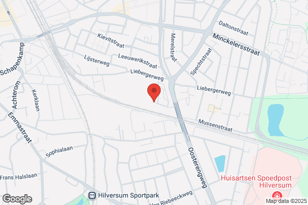 Driessen