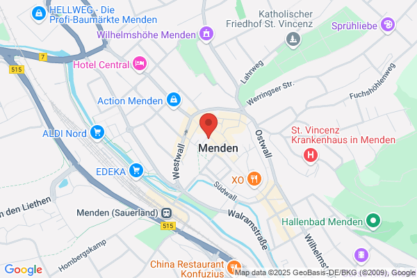 Dick Mol Leder