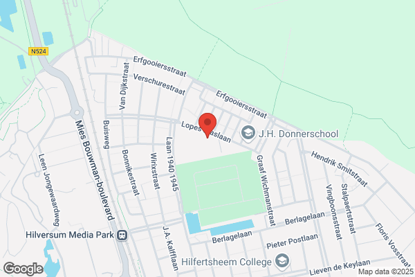 Dokter Ingenieur C. Lelyschool