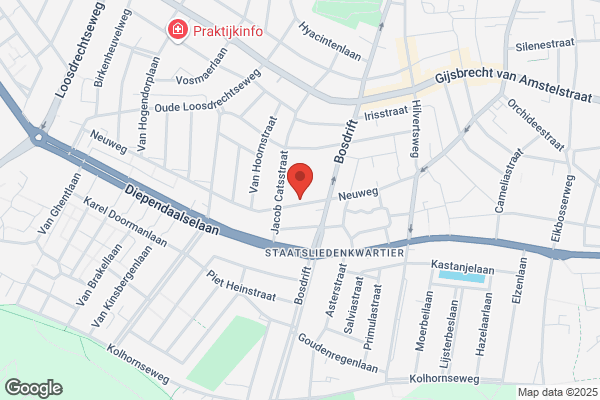 Kok, De