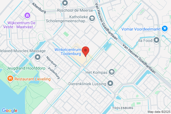 Fysiotherapie Acupunctuur Toolenburg