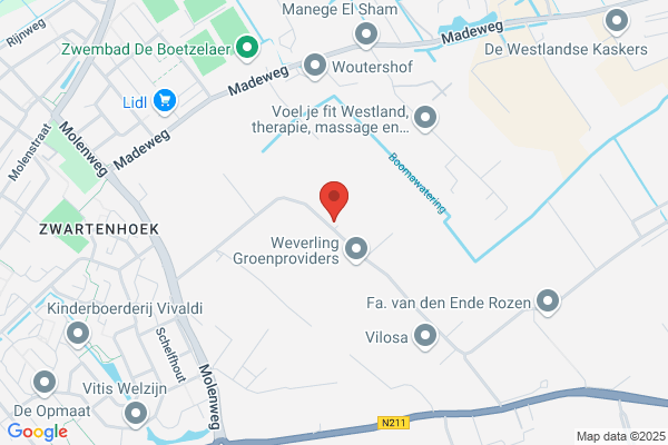 Kalmthout & Van Niel Bv, Van