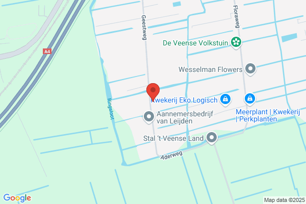 Turk Bv, Robert S