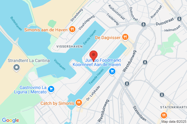 Viking Software Services Bv