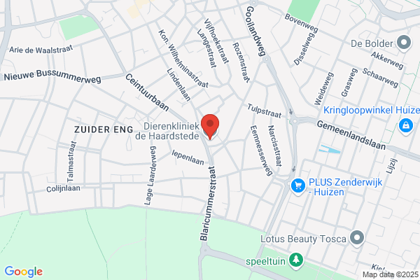 Dierenarts Drs. B.H. Liem