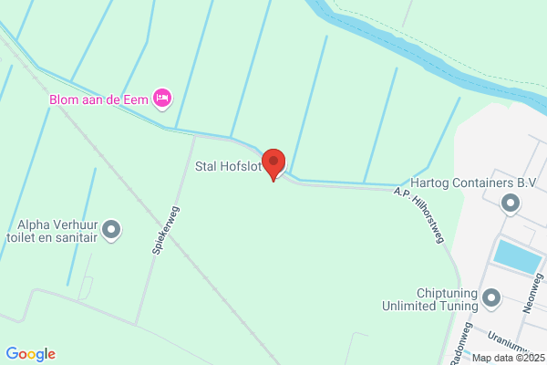Hofslot, Het