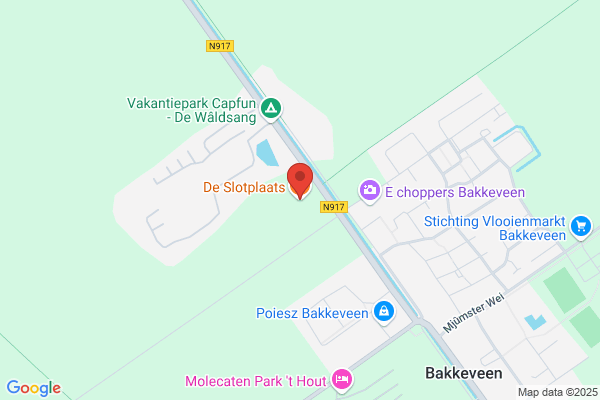 Koekoeksnest, Het