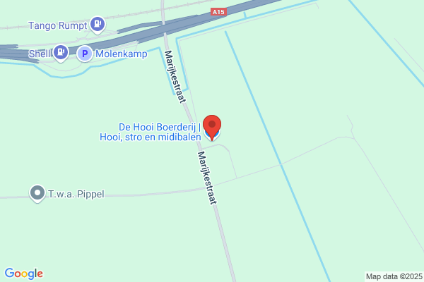 M L De Jongh