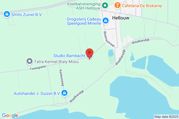 T Bambacht