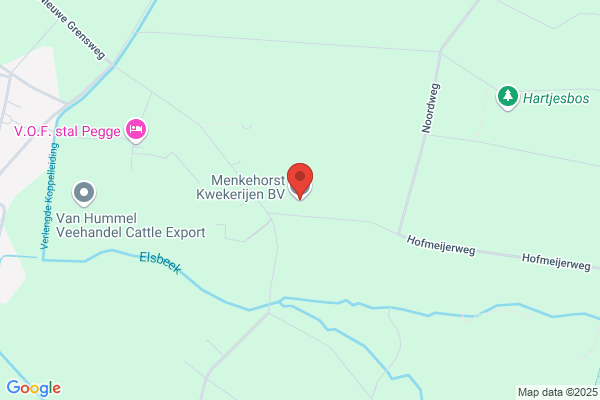Menkehorst, A B A