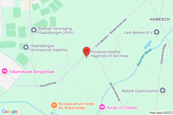Hovenier Bart Hagmole of ten Have