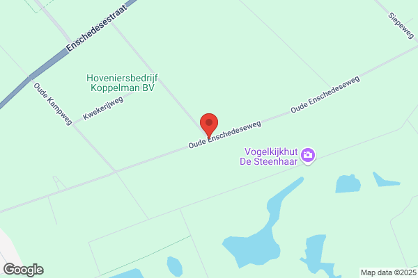 Hengelose Kaaskoning