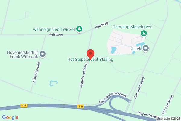 Het Stepelerveld