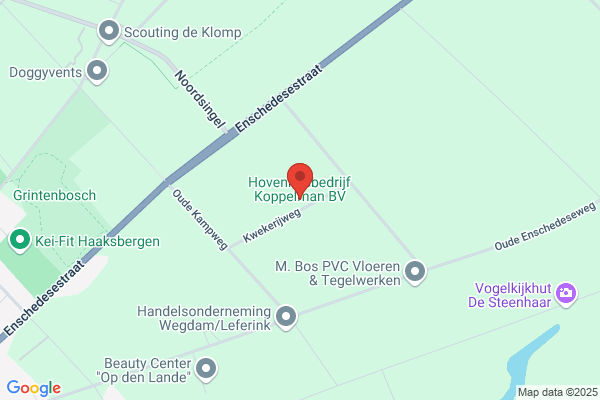 Koppelman Bv
