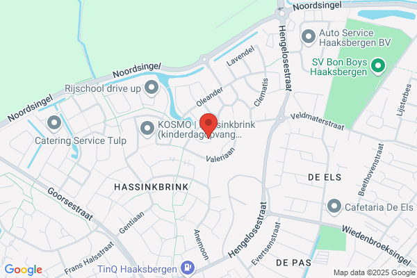 Straatkinderen Boekarest, Sticht