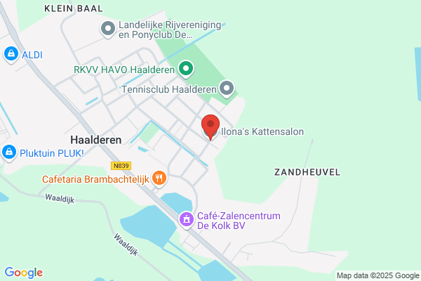 Ilona's Kattensalon
