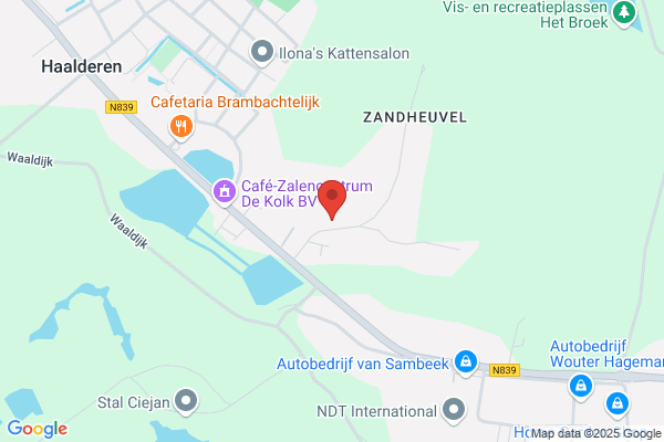 Vijfsprong, De